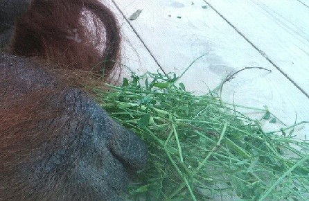 福岡名所クイズ⑤