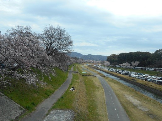 外出歩行訓練と春祭り