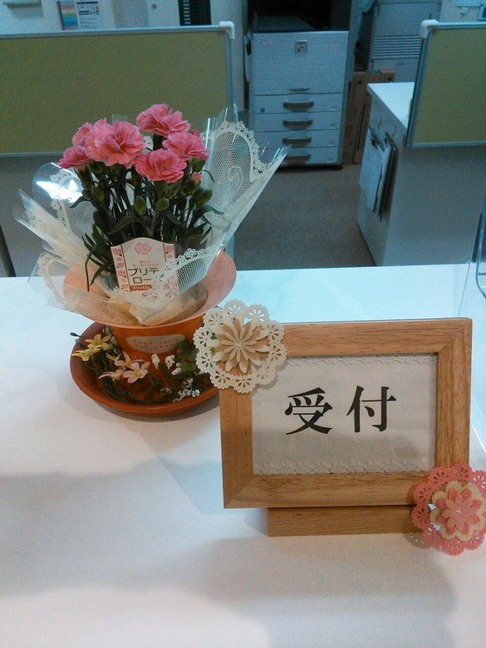 カーネーション