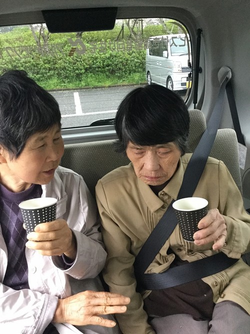 お花見に行ってきました！