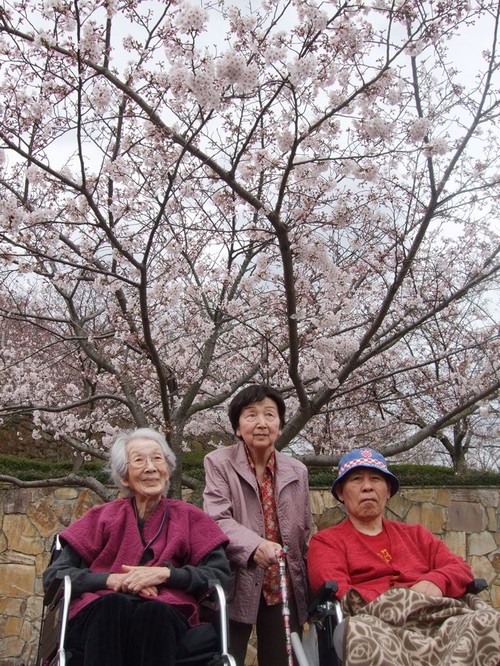 お花見♪２日目