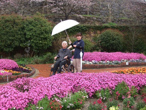 お花見♪最終日