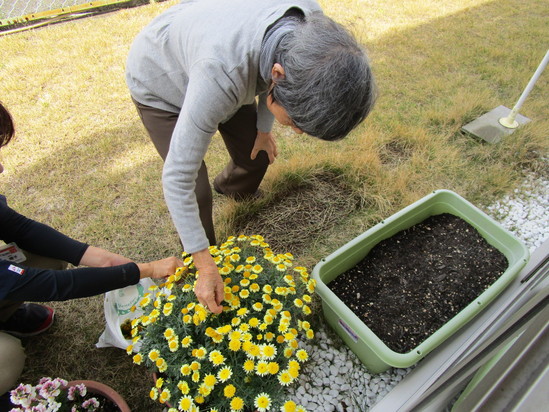 プランター設置