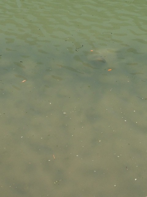 あの日の出来事