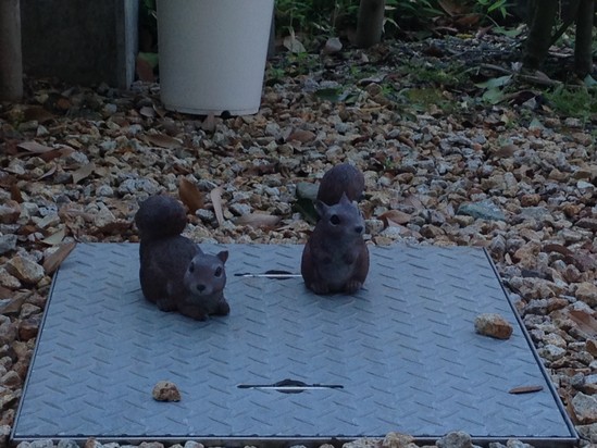 ここはどこでしょう？