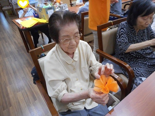 ハイビスカスとヨガ