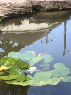 お・さ・ん・ぽ♪②