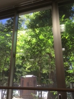 きれいさっぱり♬