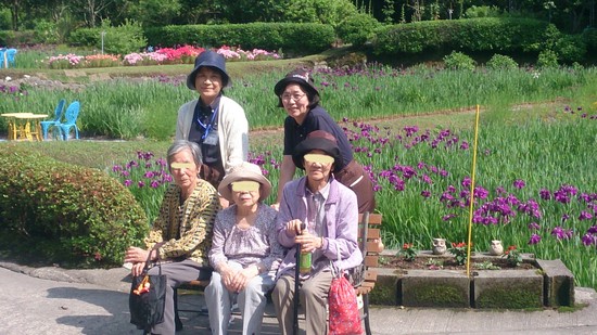 吉野に菖蒲を見に行きました