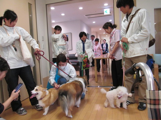 ドッグセラピー