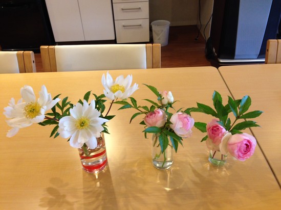 デイサービスにあるお花をご紹介