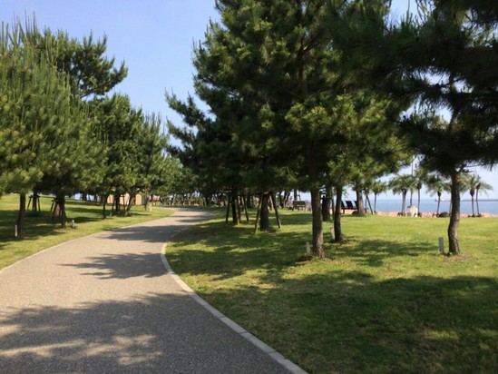 マリンポートに行って来ました！