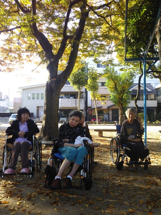 ～♬～11月になりました～♬～