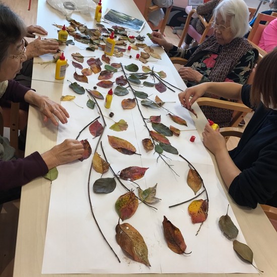 今日のディサービス♪