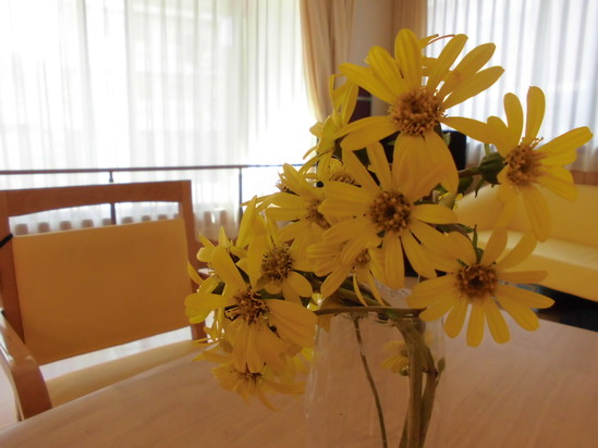 何の花でしょう～？（＾＾）