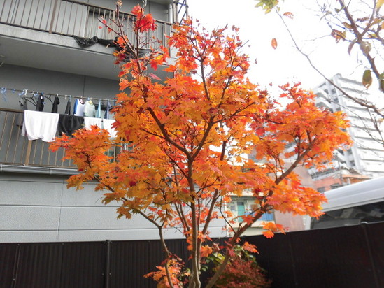 ★デイサービス★　12月