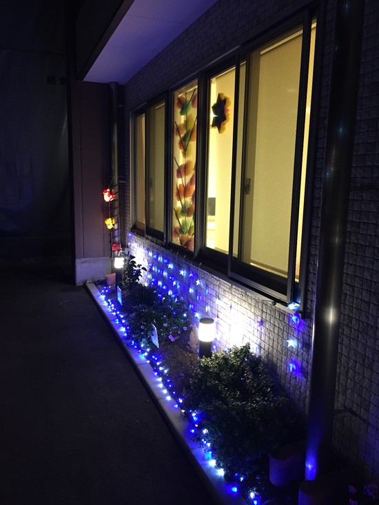 施設のイルミネーション♪