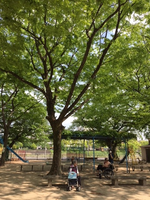 〇新緑の公園○