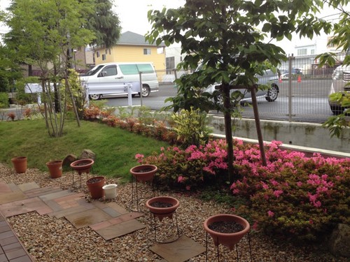 アルファデイ久万の台たより－つつじ満開