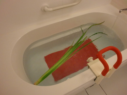 菖蒲湯。。。２