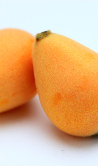 今日は何の日（ ‘ ・ω・｀）？？