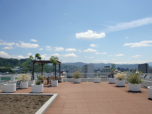 屋上の落し物。。。