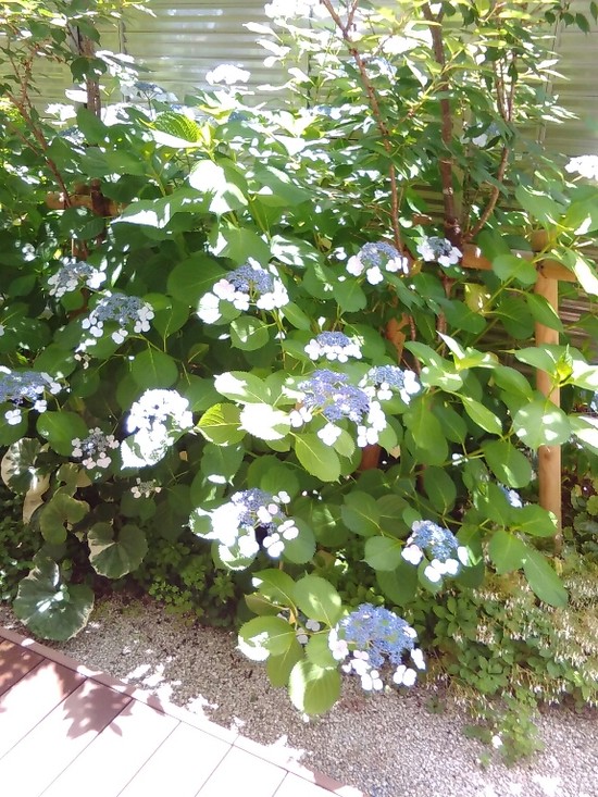 レストランからの風景