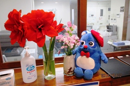 お花のお出迎え＾＾