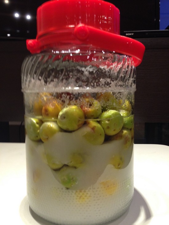 梅ジュースの経過