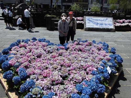 ☆紫陽花ドライブ④☆