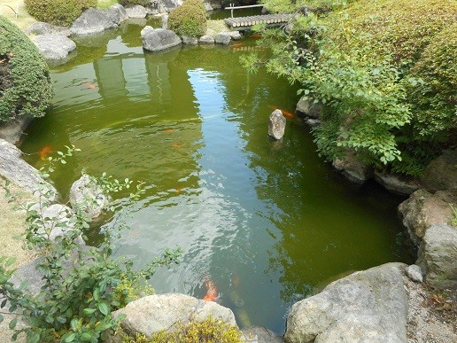 大きくなりました～