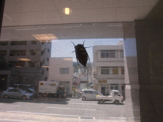 ☆レクのご紹介☆