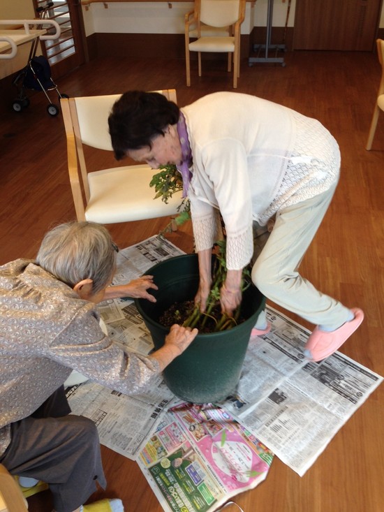 とうとう時期がやってきました！！