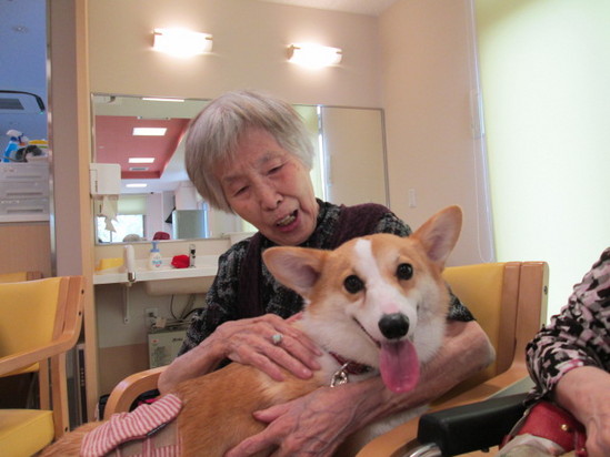 ドッグセラピー