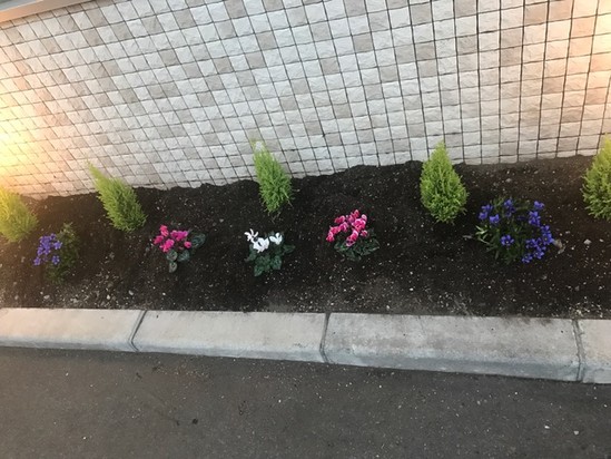 園芸クラブの副部長？