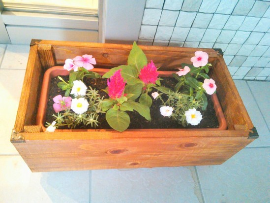 ケースできました♪