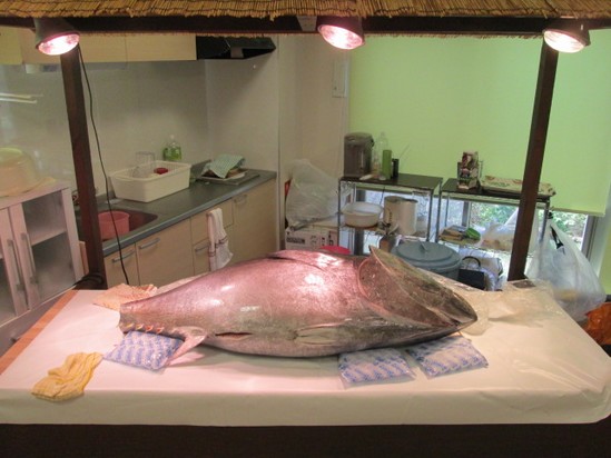 アルファリビング祭りレポート④　（ラスト！）