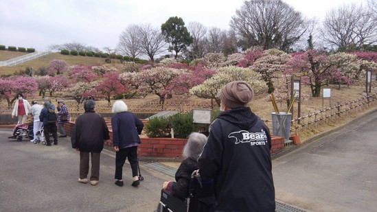 曇り空のおでかけ♪
