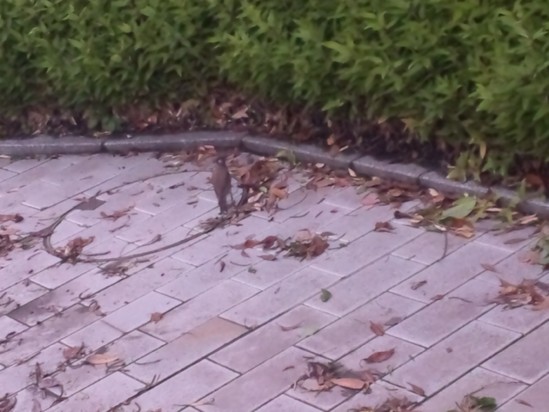 台風が過ぎて。。。