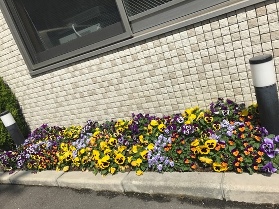 お花と・・・♪