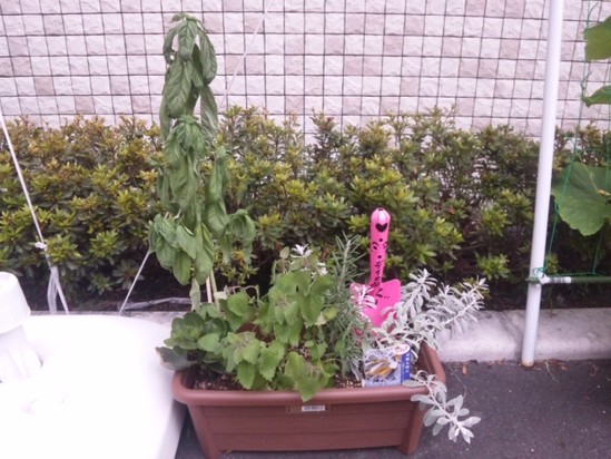 次々と・・・。