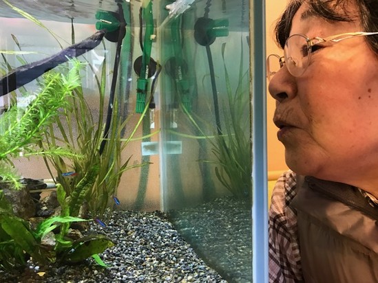 ピー　ピー　ピー　ピー　ピー♪