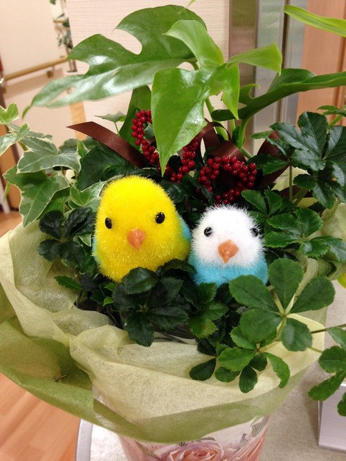 いらっしゃいませ。。