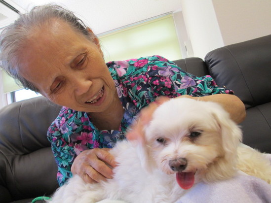 今月のドッグセラピー