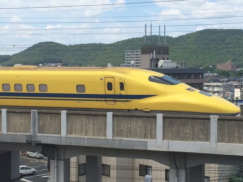 しあわせの黄色い…☆