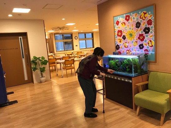 イシマキガイ。