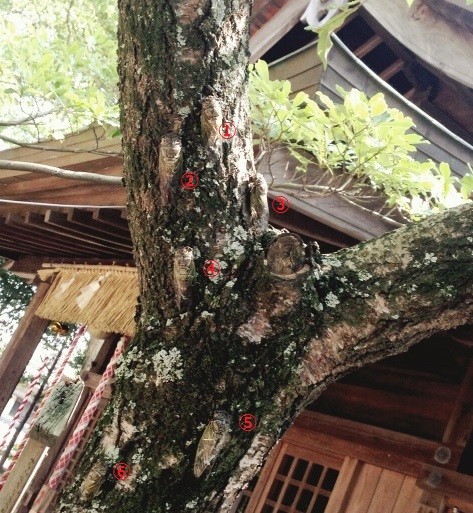 おとといの答え