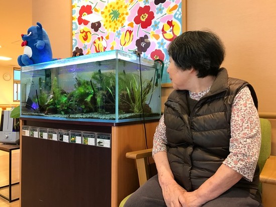 ～今月の　ａｌｌ　　ｈａｐｐｉｎｅｓｓ～