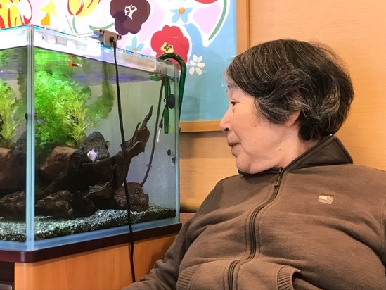 ピー　ピー　ピー♪