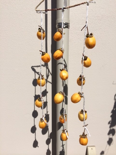 干し柿できるかな？？